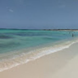 Meet your Posher, Brittnie